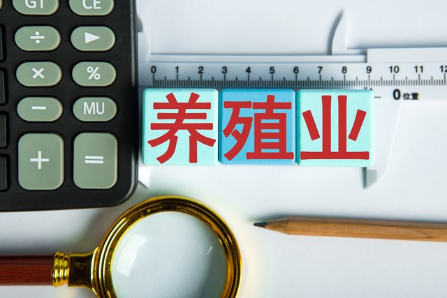 想在农村养殖没有本钱怎么办,2023年什么时候养猪能挣钱