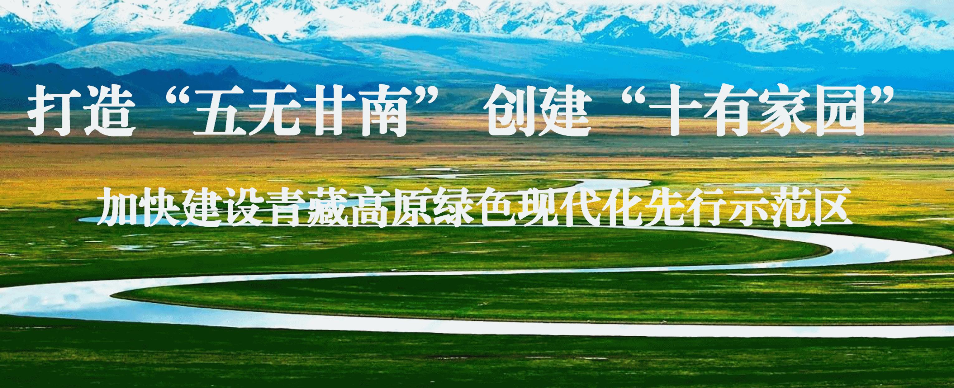 三抓三促校园艺术节,甘南州三抓三促行动具体内容