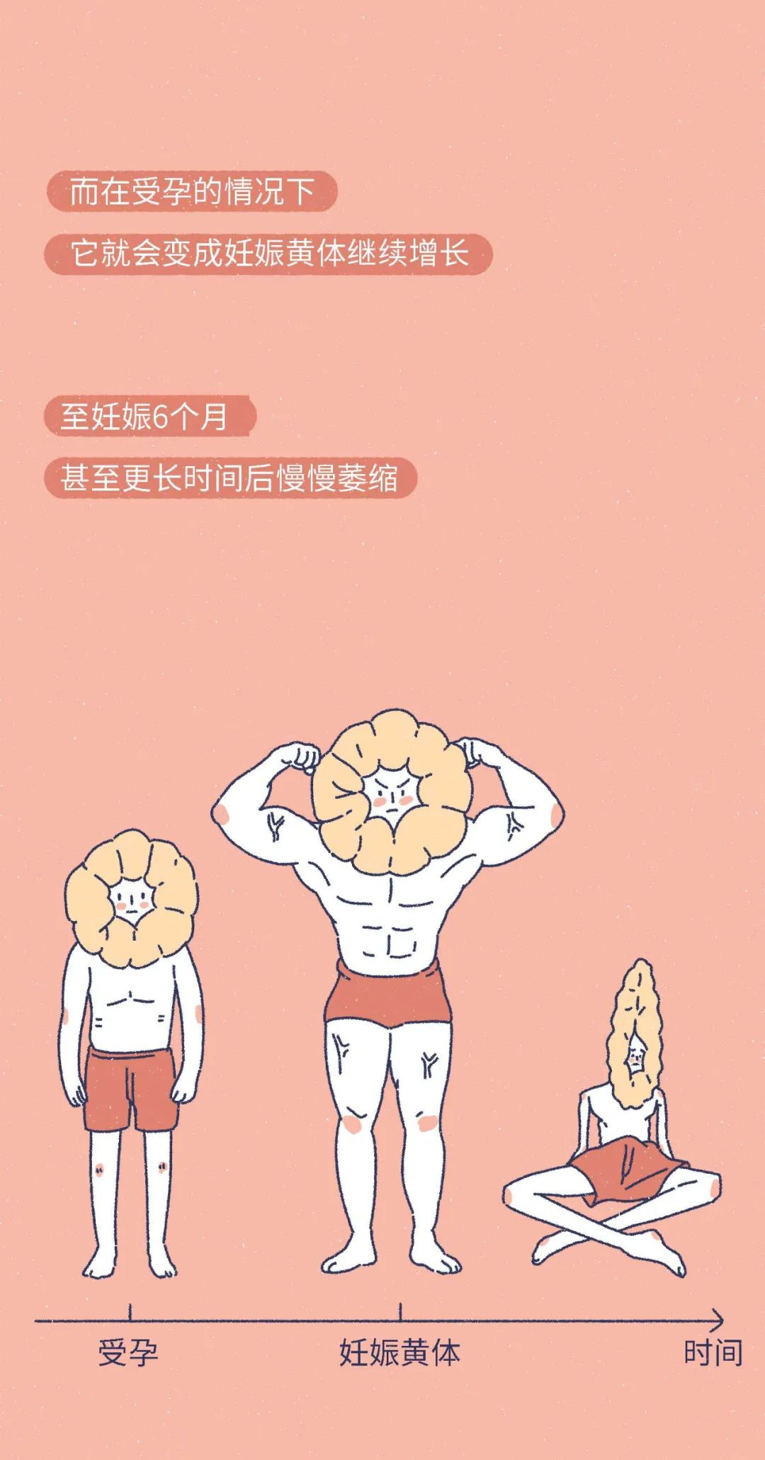 女生黄体破裂会是什么表现,什么原因会导致女性黄体破裂