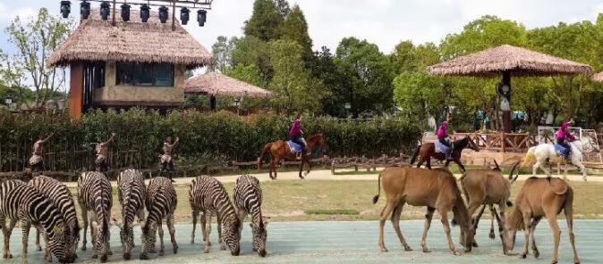 这里有只熊猫会叉腰!——上野的一大波“萌”兽来袭