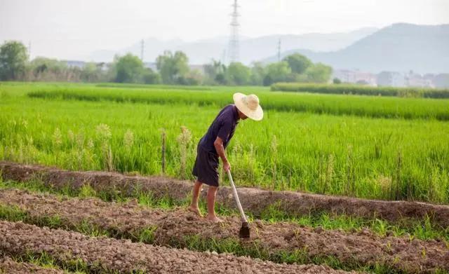 农民种地一年能挣8万,农民打工一年能存多少钱