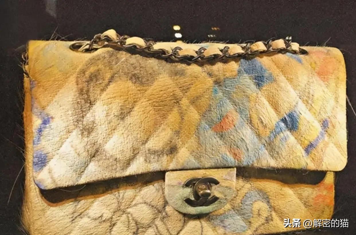 外国小伙给猪纹身,给猪纹身的男人