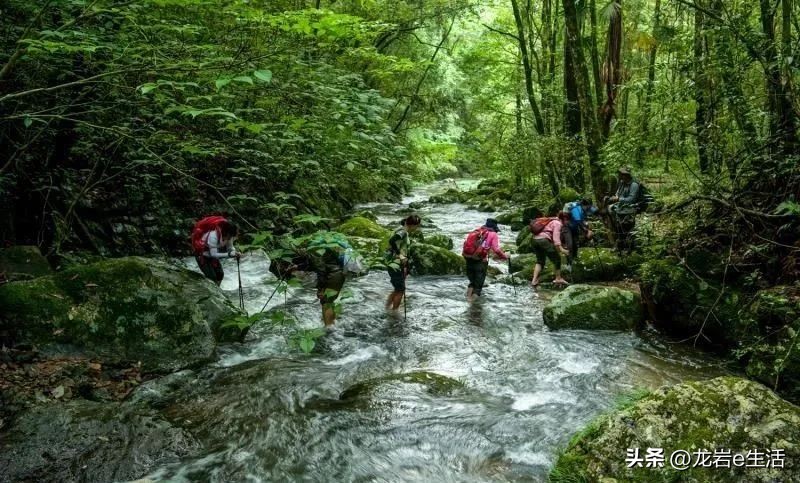 夏天龙岩哪里凉快适合避暑,龙岩新罗区有哪些避暑的好地方