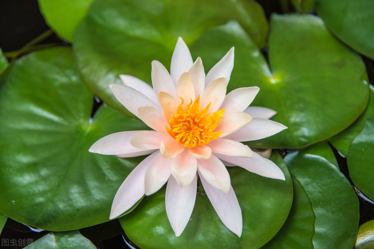 触动人心的短句文案伤感300字,2024跨年伤感文案朋友圈