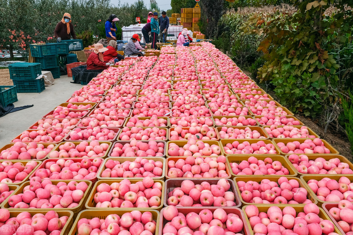 春节期间最热门的生意,春节前最赚钱的生意有哪些