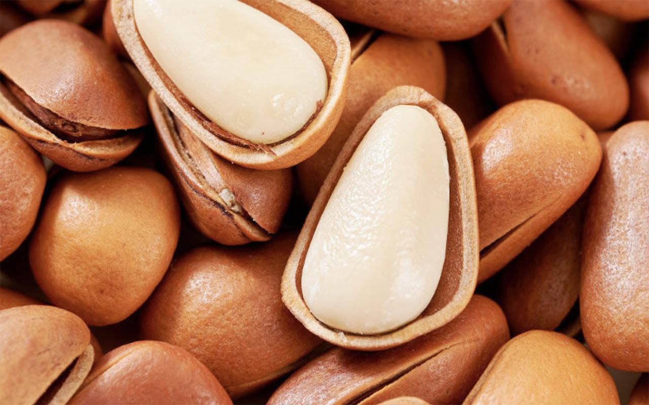 热量高抗寒的食物,热量高的食物水果有哪些