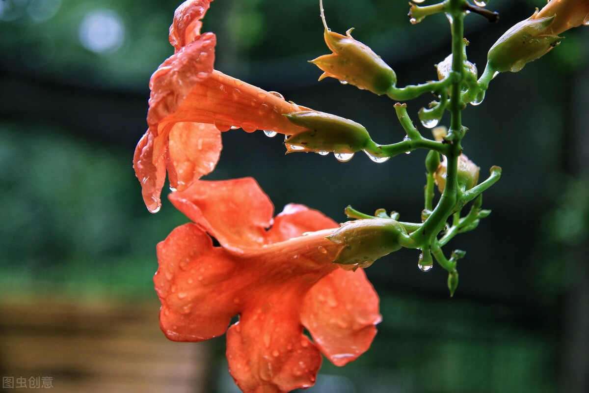 天再热也要认真做饭,天再热也要吃火锅