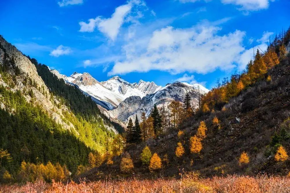 松潘秘境：野性与静谧共存的七藏沟