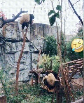 丝袜上可以纹身吗,女生纹身还能穿丝袜吗