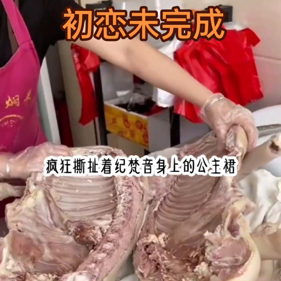 鍒濇亱鏂囪崚,鏂囪崚鍒濇亱