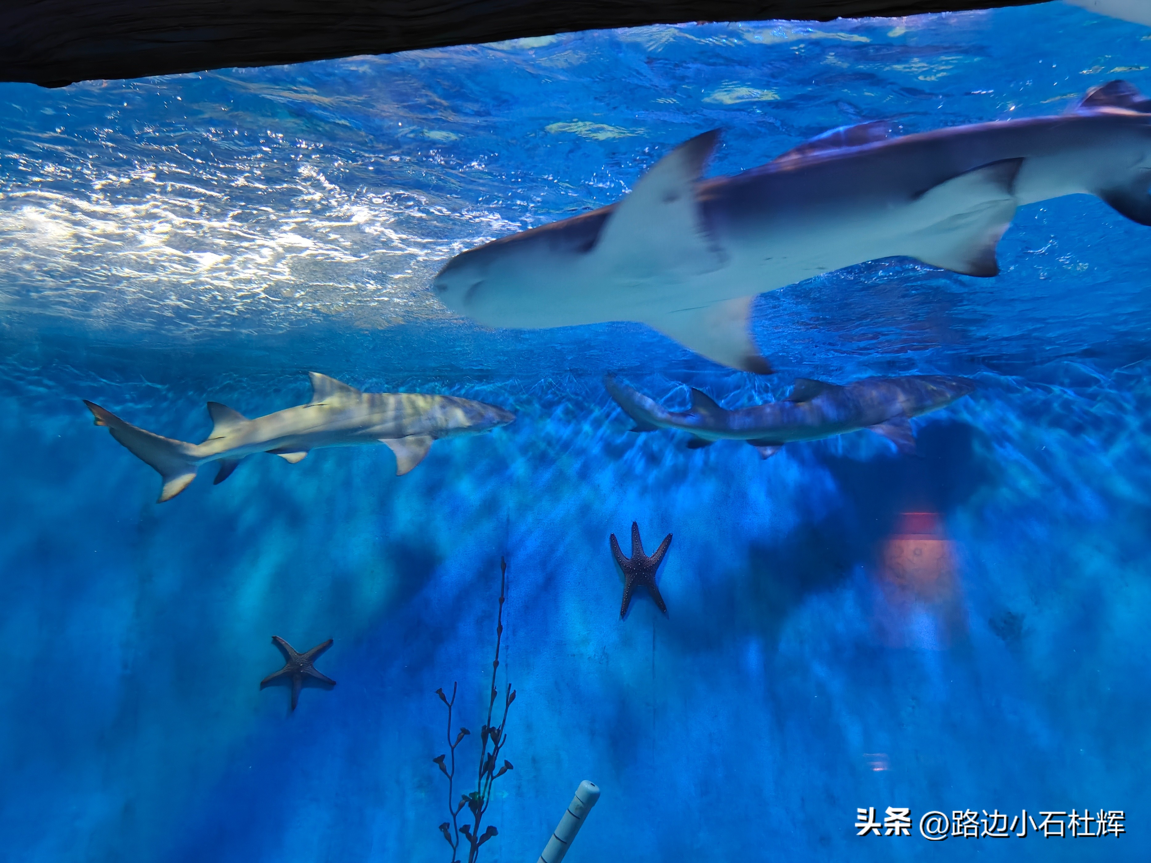 游游人间,游旅人间