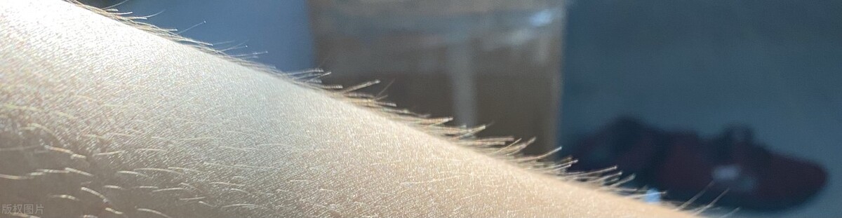 阴毛有什么用？能不能刮掉？由黑变白，是怎么了？男女都可以了解