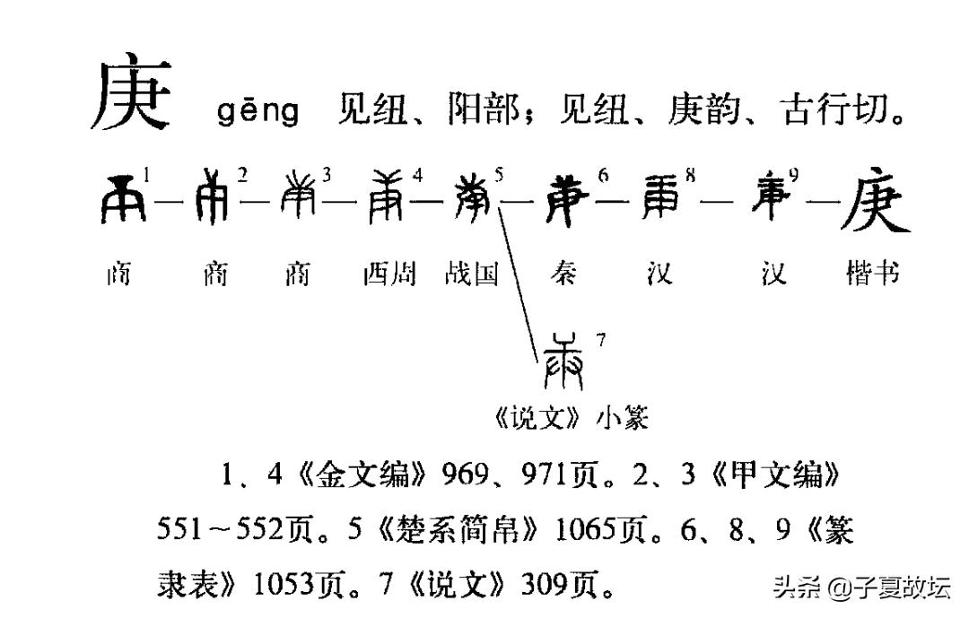 天干十个指什么,天干十神是什么意思对照表