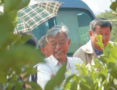 橙王褚时健二次创业的故事,橙王褚时健的真实人生