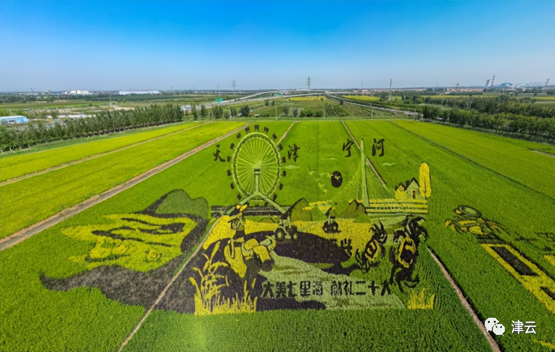 观稻景、吃蟹面、钓螃蟹……这里的“中秋”,好吃好看好玩