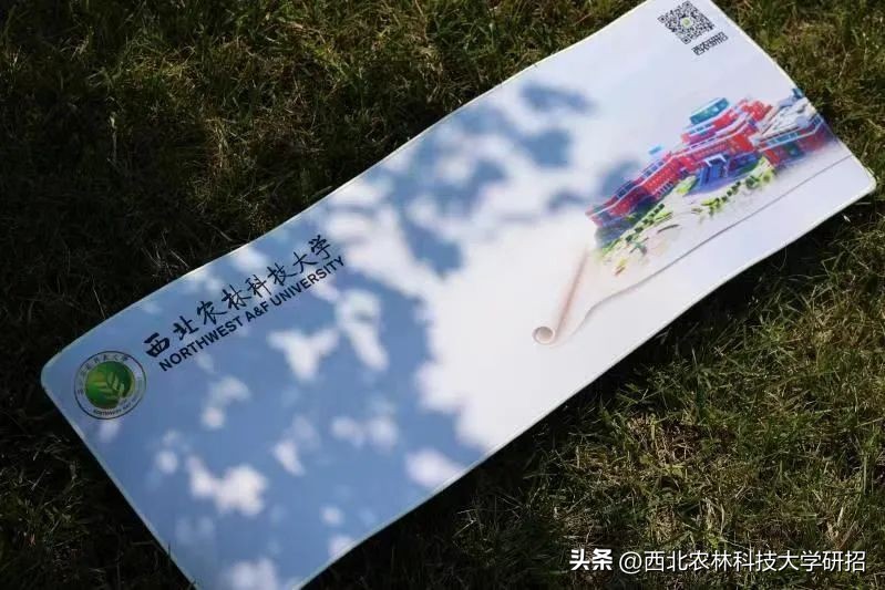 【“研”途风景|第6期】突然发现的瞬间