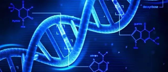 日本的护肤品还能买吗,日本值得买的护肤品