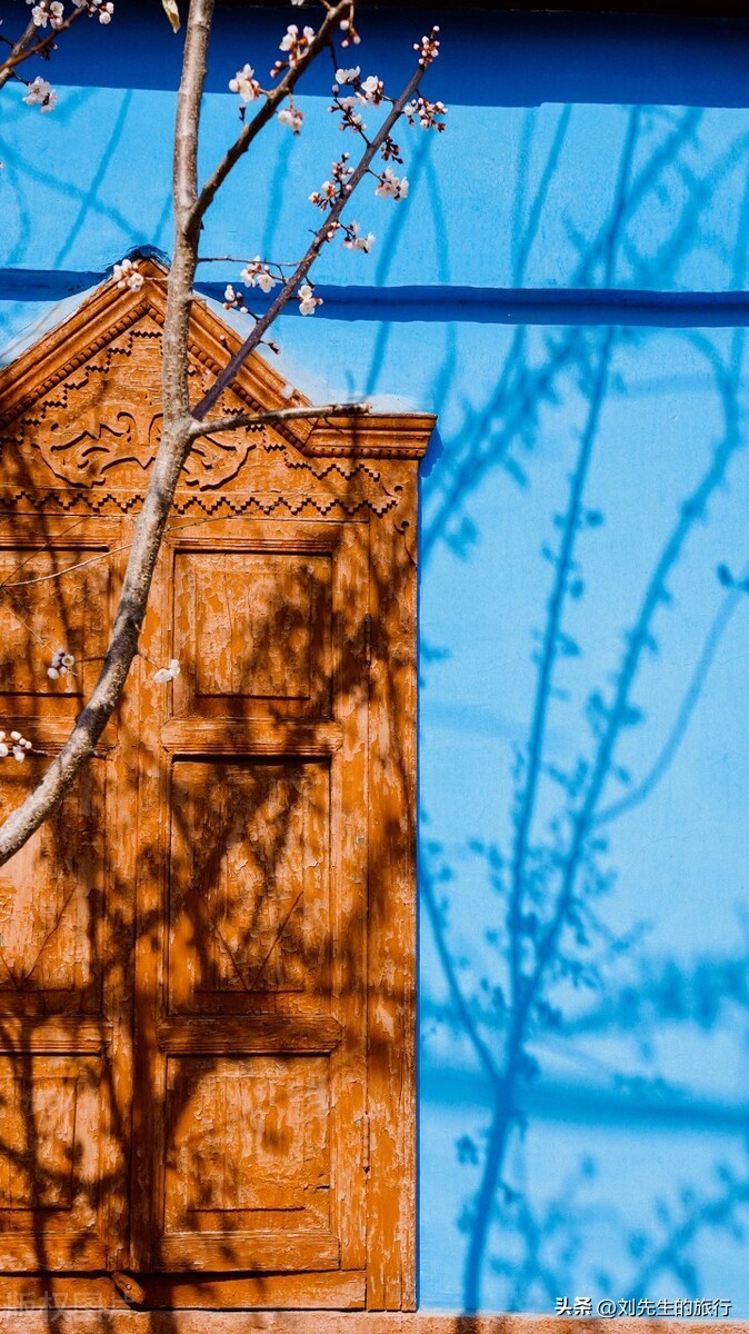 新疆伊犁春天满山遍野的花朵,伊犁的春夏秋冬美景