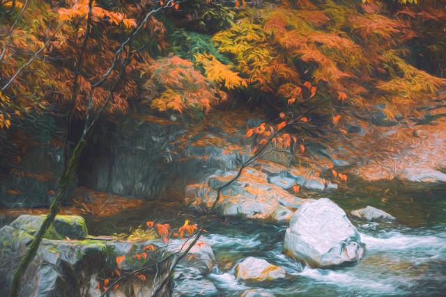 分享的意义和寓意,分享含义