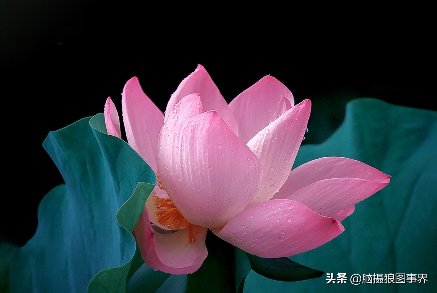 你拍的照片不够唯美,你拍的照片不清晰是怎么回事