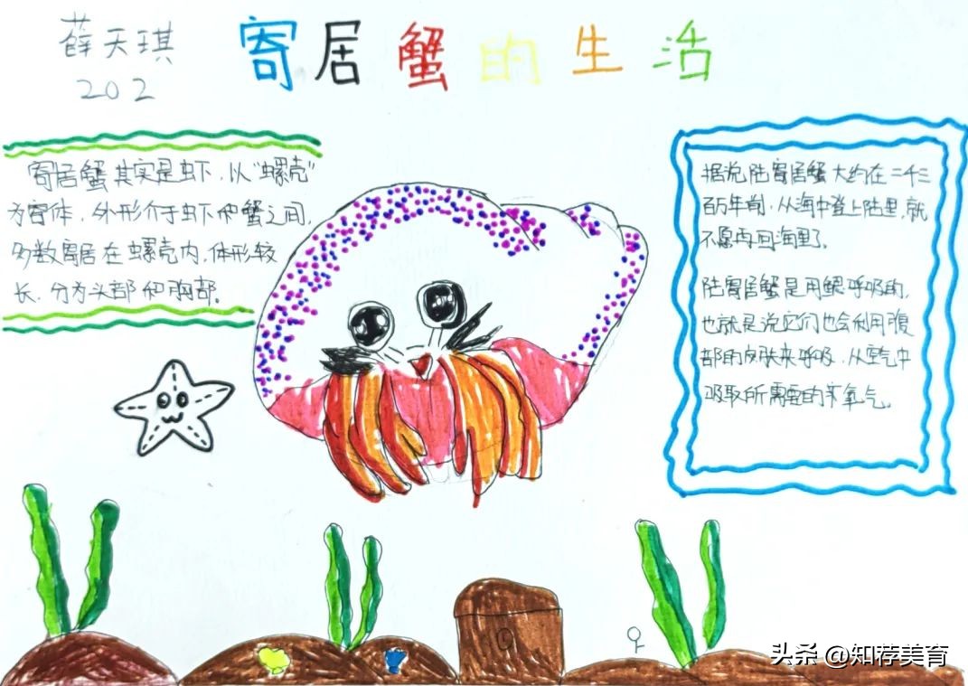 探寻桑蚕文化感受桑蚕之美,走进蚕桑研究所探寻蚕桑文化