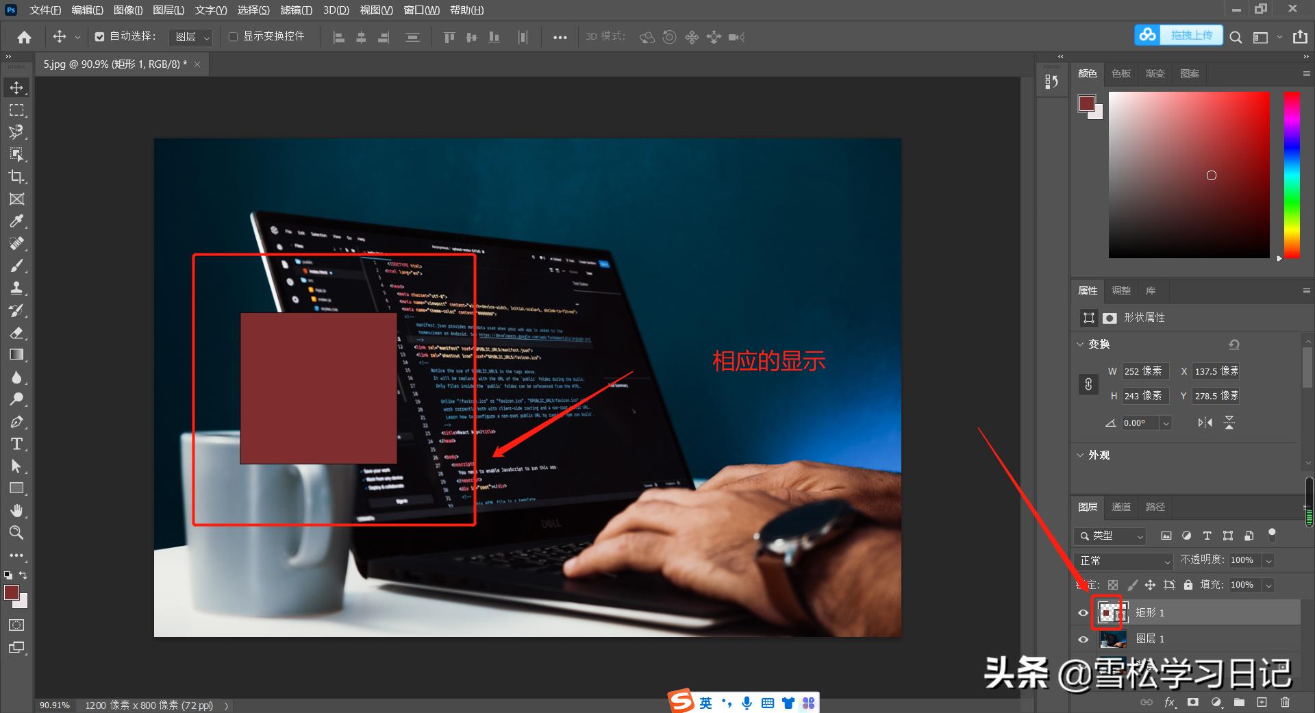 ps图层入门教程零基础,ps入门教程掌握图层的基本操作