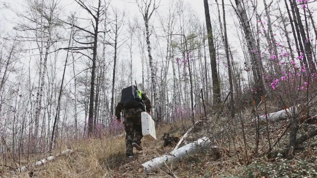 额尔古纳奇人之高擎青春火炬的柴瑞峰