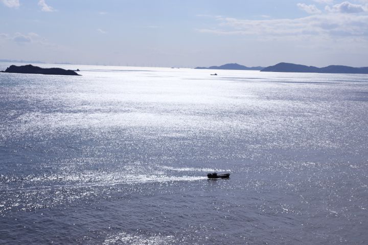 哪几种三脚架不好用,三脚架独脚架如何选择