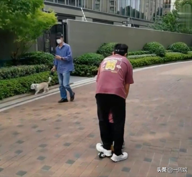 苗苗郑恺日常在家带娃,苗苗郑恺带孩子日常