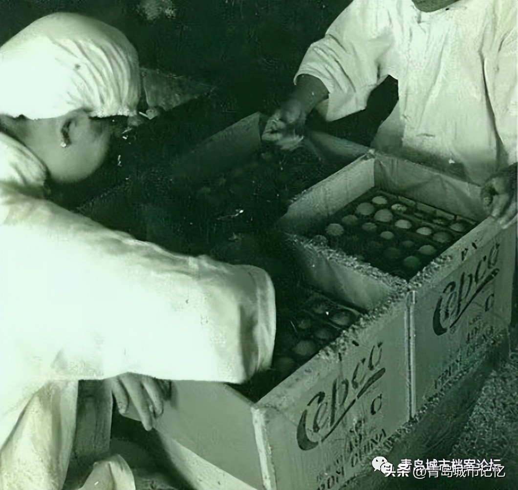 青岛茂昌蛋厂介绍,老茂昌蛋厂照片