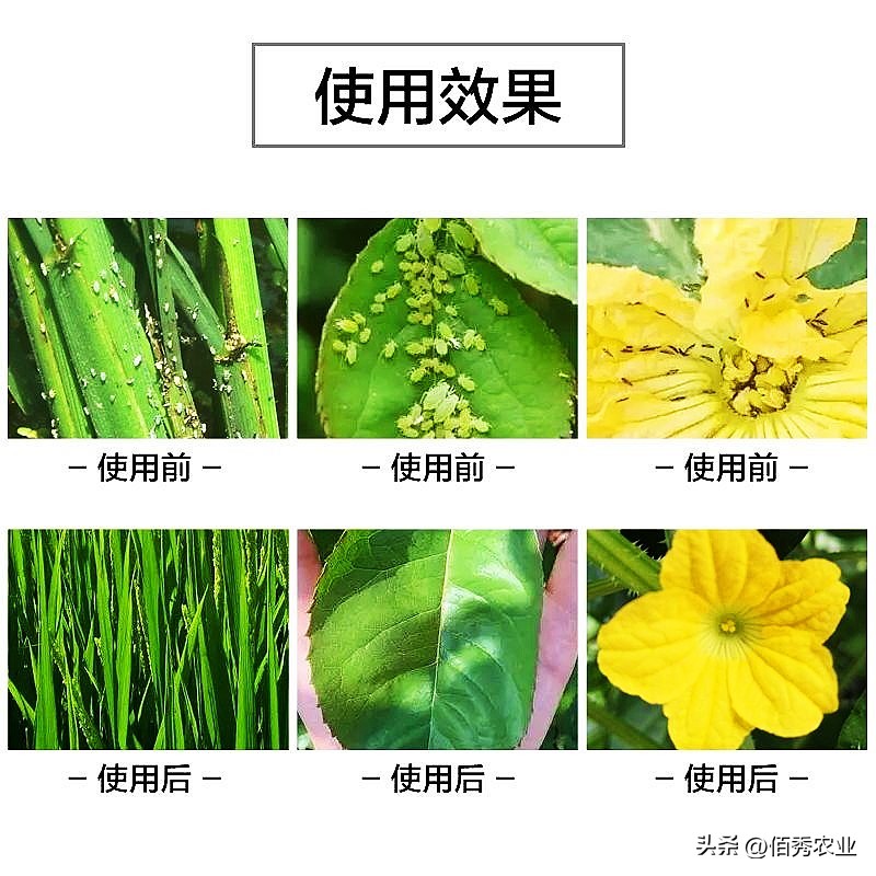噻虫嗪含量和价格,噻虫嗪是第几代杀虫剂