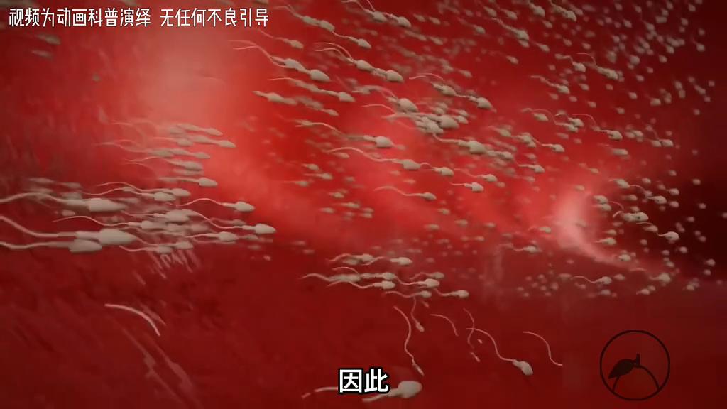 带你观看你人生中的第一场比赛是如何获胜的~#科普动画#...