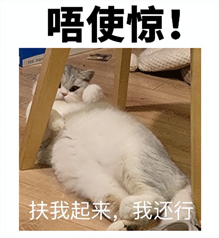 长息肉是癌症的前兆吗,体检查出有很小的息肉怎么办