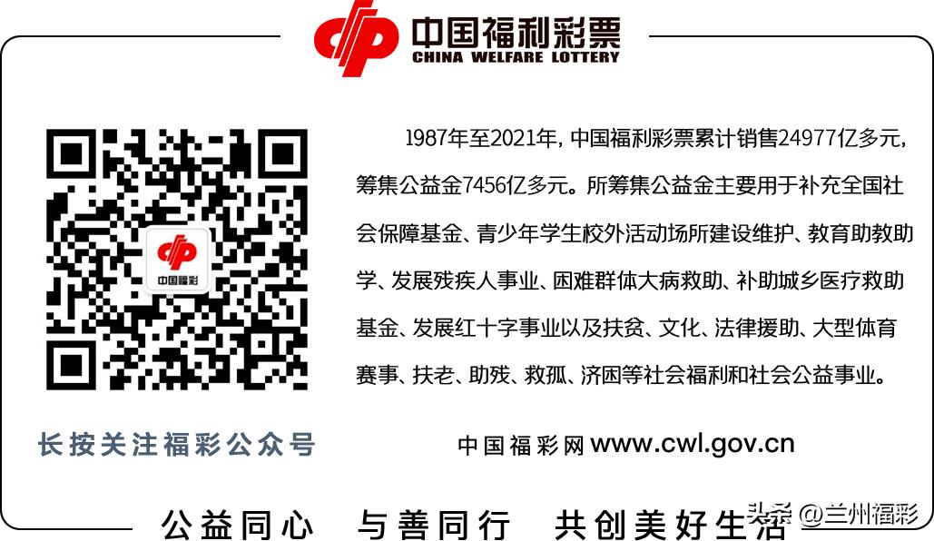 双色球票面格式详解,双色球投注大数据