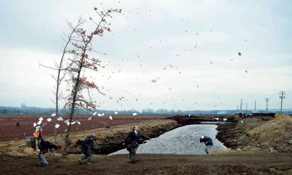 摄影小白必学之极简摄影,读懂摄影作品