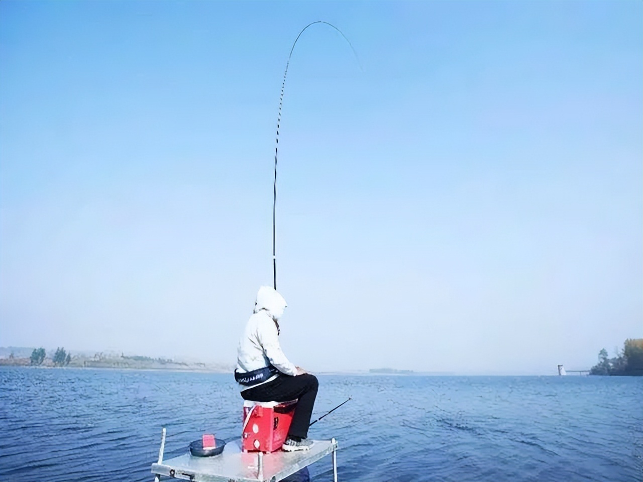 专治小杂鱼闹窝的绝招,小杂鱼闹窝的克星