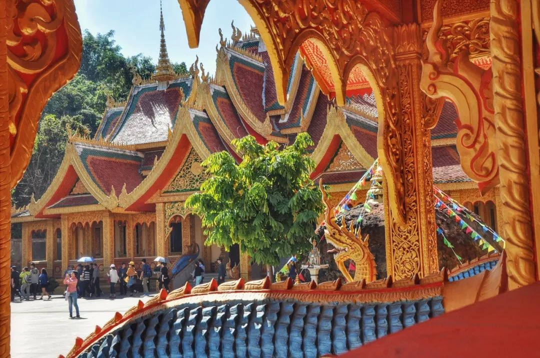 西双版纳体验雨林,吃遍热带水果西双版纳