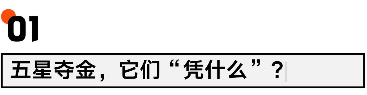 五星巴西5次夺冠,五星巴西夺冠纪录片