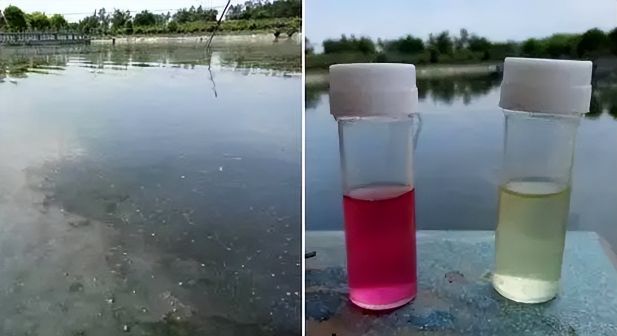 pH值过低危害,ph太低的危害