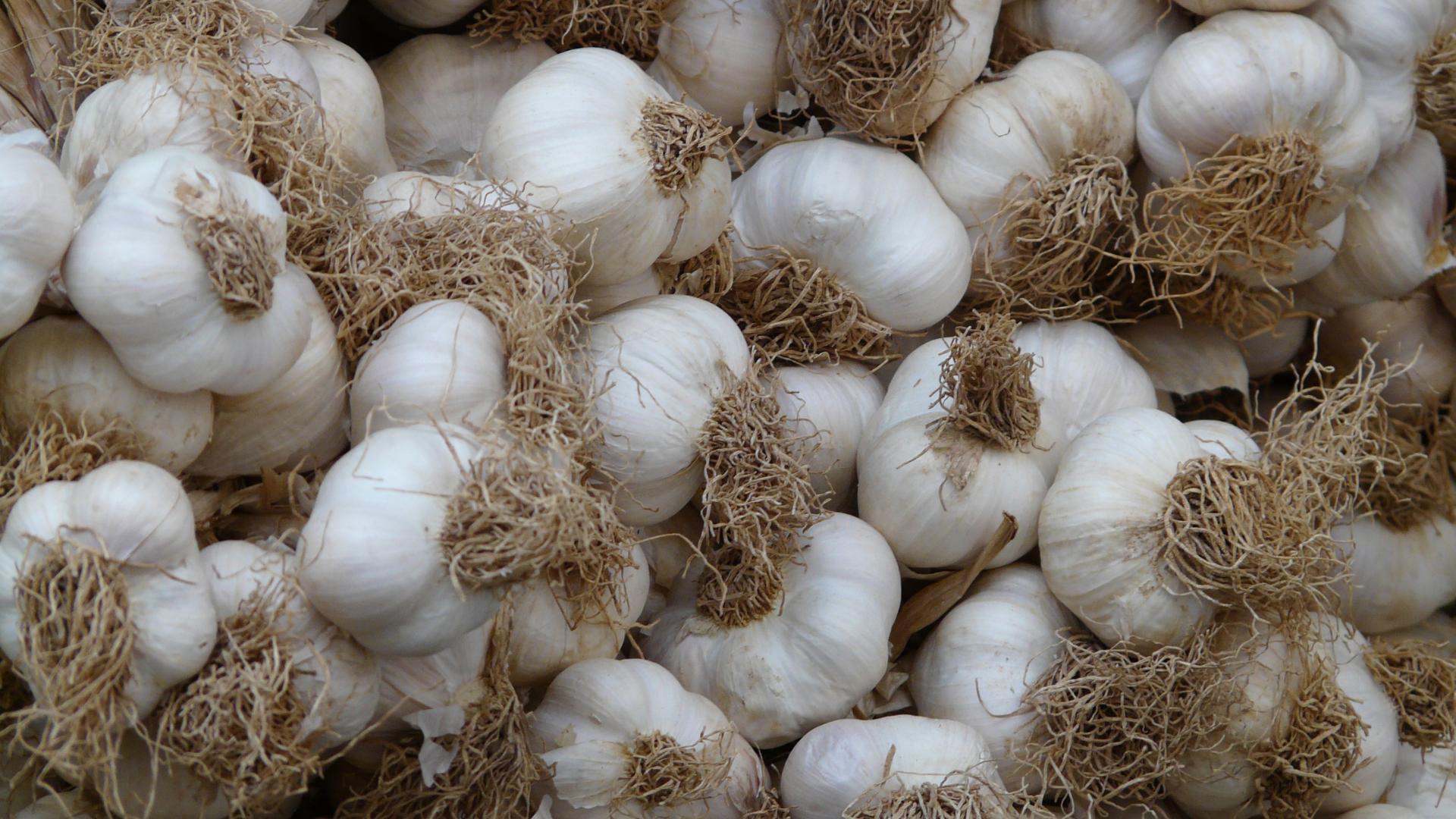 大蒜怎么种出得更快,大蒜的种法怎么种得好