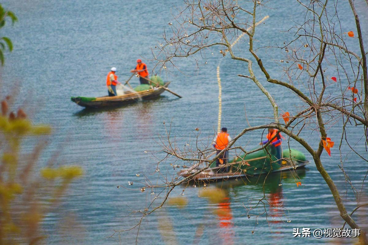 为什么近些年农村挖鱼塘养鱼的多,为什么水库养鱼比较多