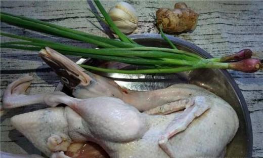 白斩鸭的做法大全家常简单,白斩鸭水煮技巧