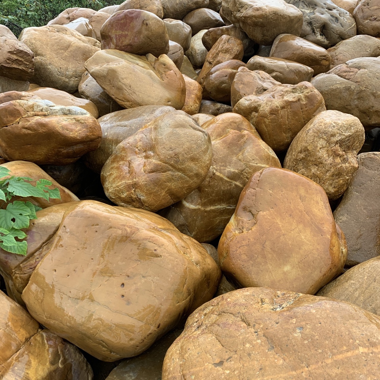 黄蜡石一般在哪形成,黄蜡石园林景观石