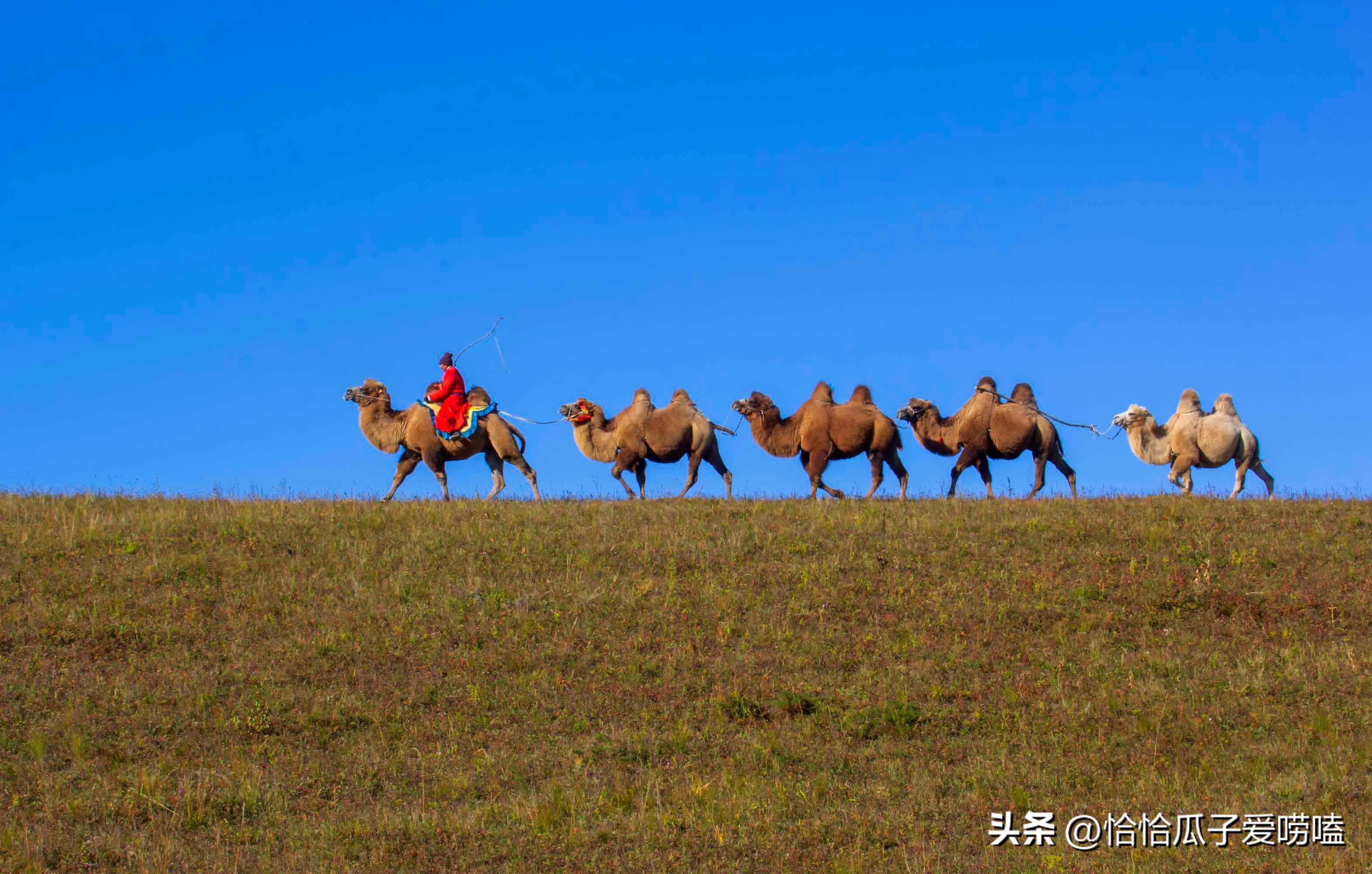 你所不知道的冰淇淋绘本,一定要知道的酸奶常识
