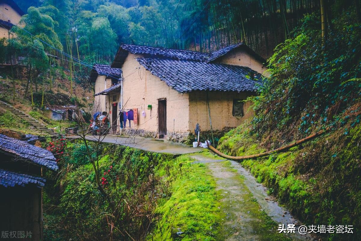 退休老人创业赚钱吗,退休后想在农村创业做什么好