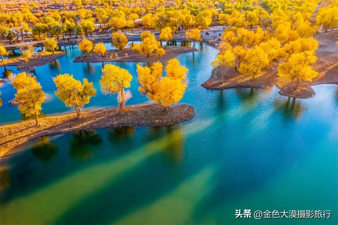 额济纳赏胡杨视频,赤峰额济纳赏胡杨