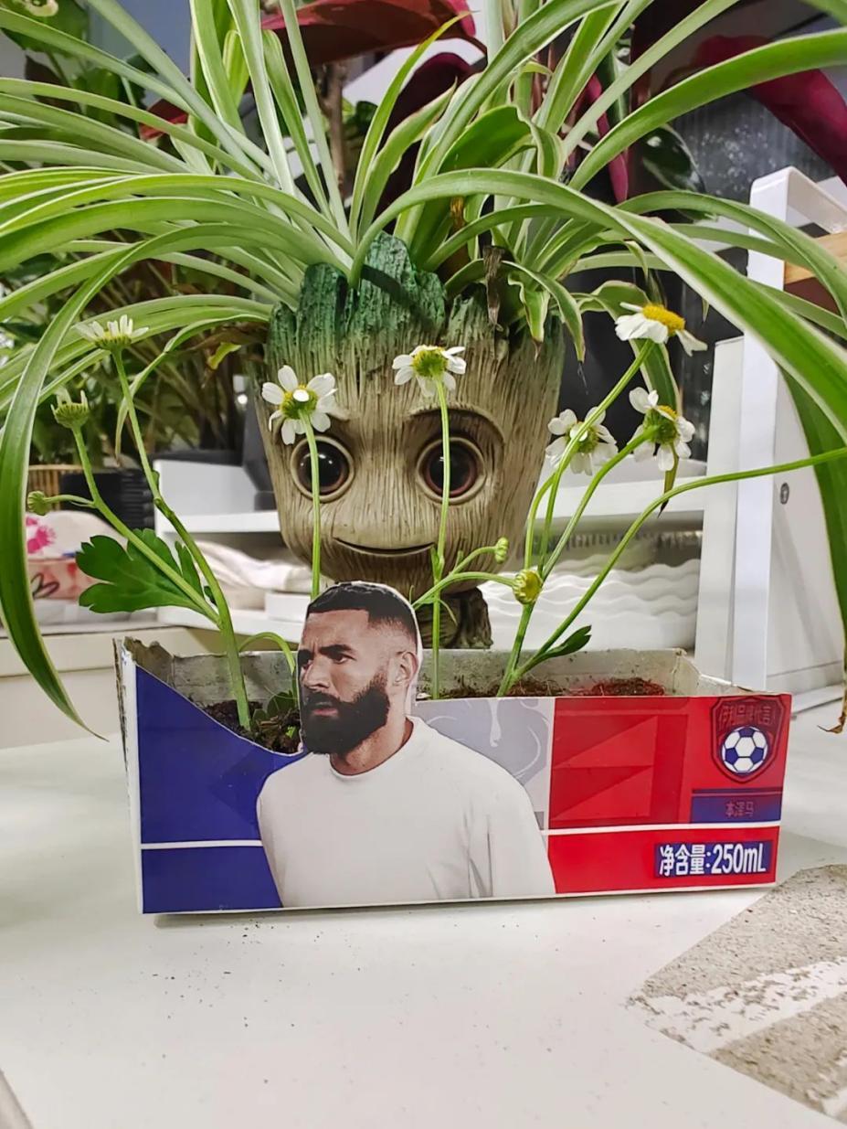 球迷一脸懵：伊利究竟是不是世界杯赞助商？