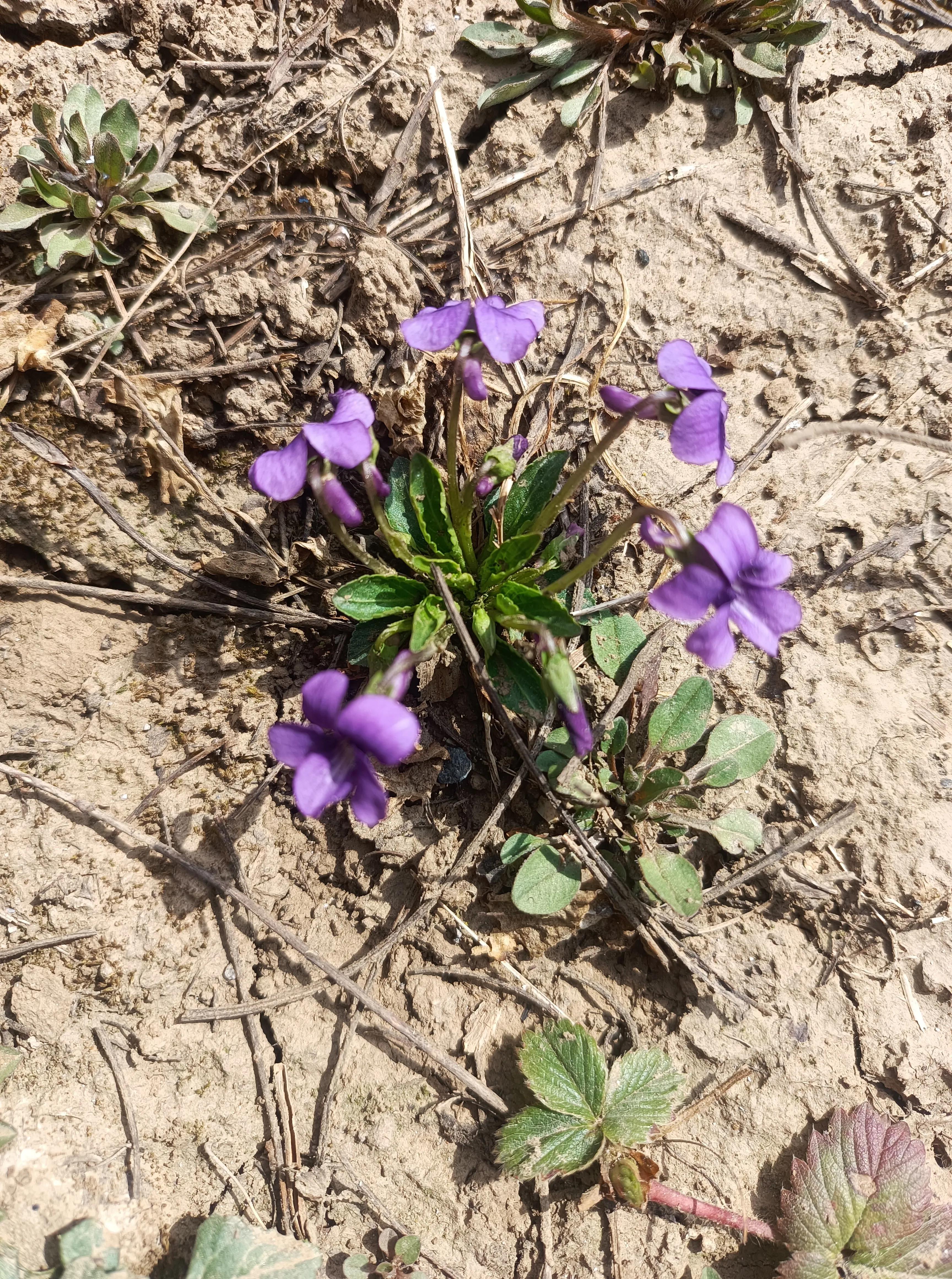 对音乐感兴趣的英语怎么说,听音乐是最好的用英语怎么说