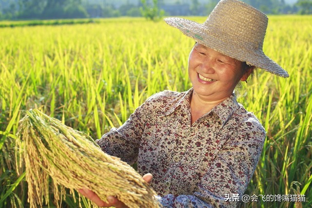 49岁大姐想嫁给高富帅,农村60岁老人找对象在哪找