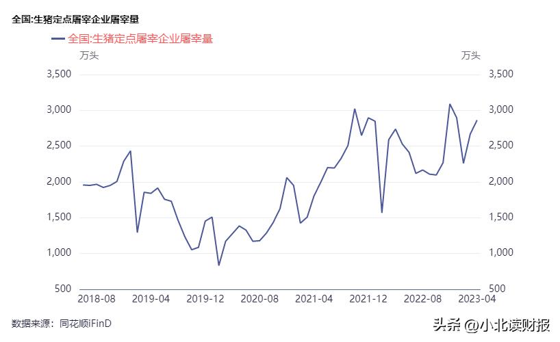 杀一头300斤的猪能赚多少钱,杀一个猪能赚多少钱